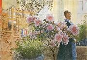 Carl Larsson, Azalea